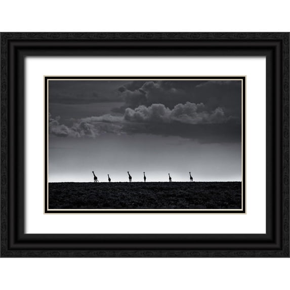 Metro, Greg 32x23 Black Ornate Wood Framed with Double Matting Museum Art Print Titled - 6 Giraffes