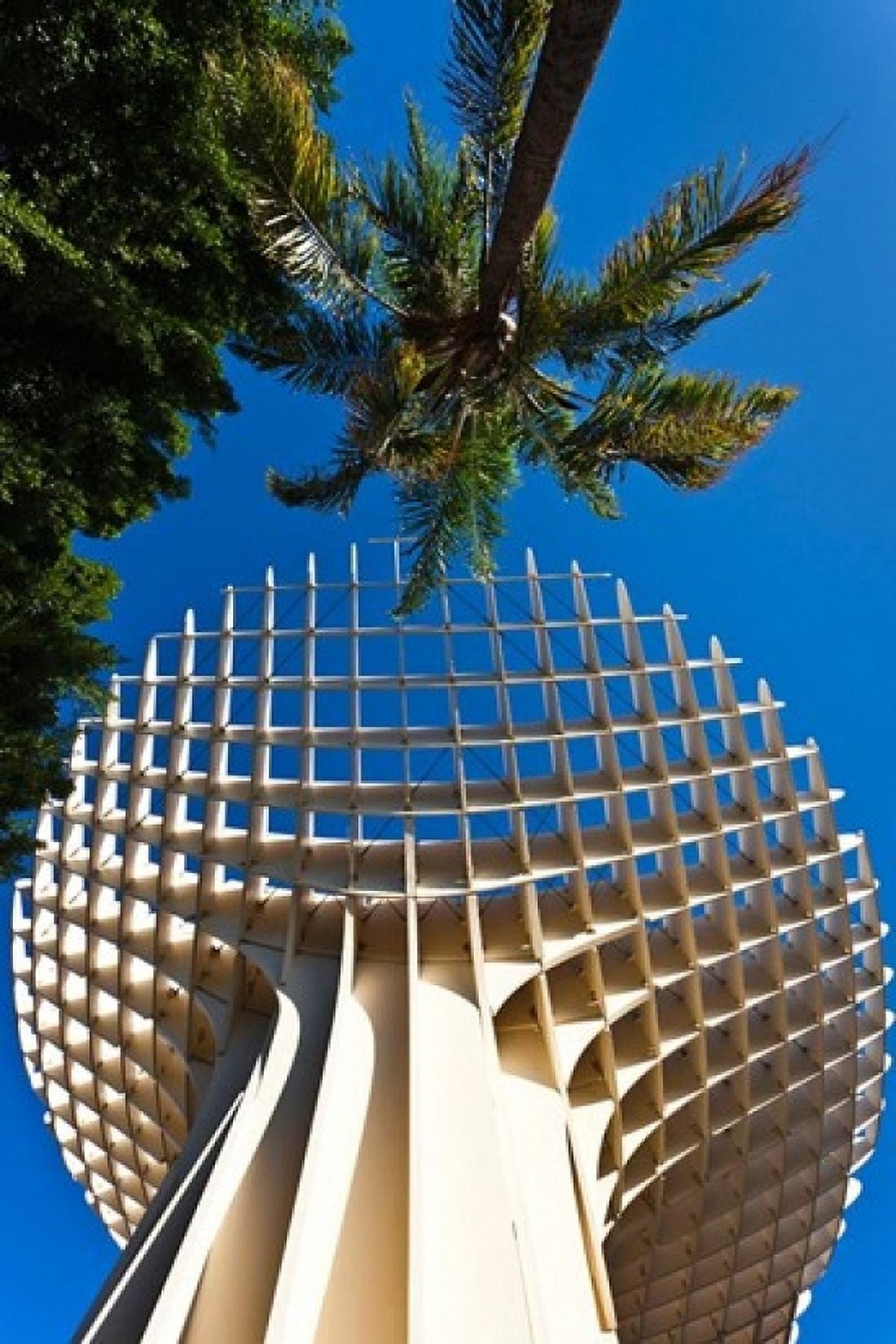 Metropol Parasol Plaza de la Encarnacion Seville Spain Canvas Art - Walter Bibikow DanitaDelimont (18 x 24)