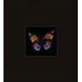 thumbnail image 1 of Metropolitan Museum of Art Series Jewels by Jar, (Hardcover), 1 of 1