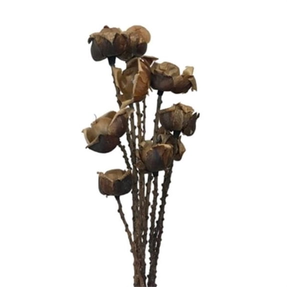 Metrotex Designs 41278 21 5 in. 10 Stem Wood Rose Bouquet, Natural