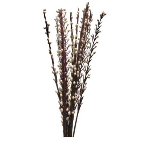 Metrotex Designs 41012 10 Stem Zebra Stick Flower Branches