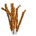 thumbnail image 1 of Metrotex Designs 41026 12 Stem Bakuli Flower Branches, Tangerine, 1 of 1