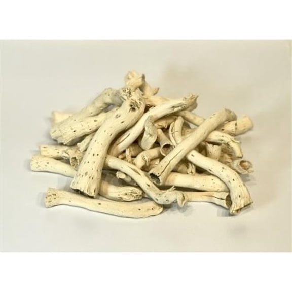 Metrotex Designs 41074 4-6 in. 300 g Pepe Cone Bleached Bag