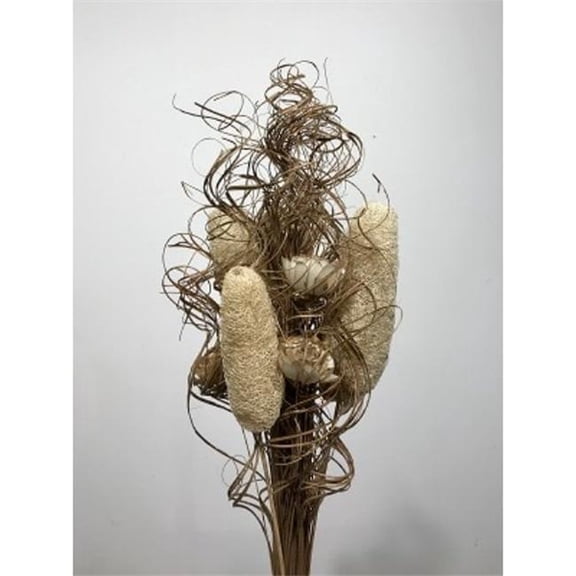 Metrotex Designs 41143 Curly Ting Bleached Luffa & Natural Flowers Bouquet