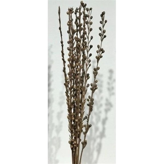 Metrotex Designs 41187 10 Stem Moti Stick, Brown