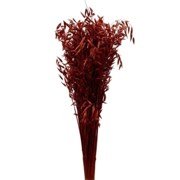 Metrotex Designs 41226 7 oz Approximately 112 Stems Oat Grass-Cinnamon Bunch