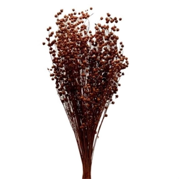 Metrotex Designs 41227 7 oz Approximately 27 Stems Lino Grass-Cinnamon Bunch