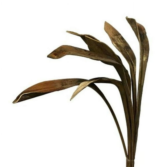 Metrotex Designs 41229 7 Stem Shoe Horn-Gold Washed Foliage Bunch