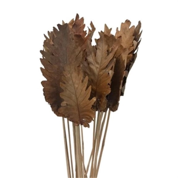 Metrotex Designs 41255 8 in. 20 Stems Fern Leaf Bouquet, Natural