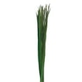 thumbnail image 1 of Metrotex Designs 41271 39.5 in. 300 g Sun Palm Leaves, Fern Green, 1 of 1