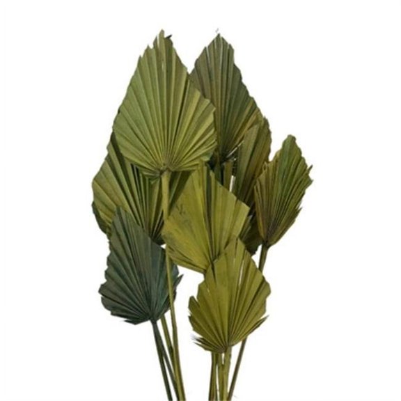 Metrotex Designs 41282 20 in. 10 Stem Palm Spear Bunch, Fresh Grass
