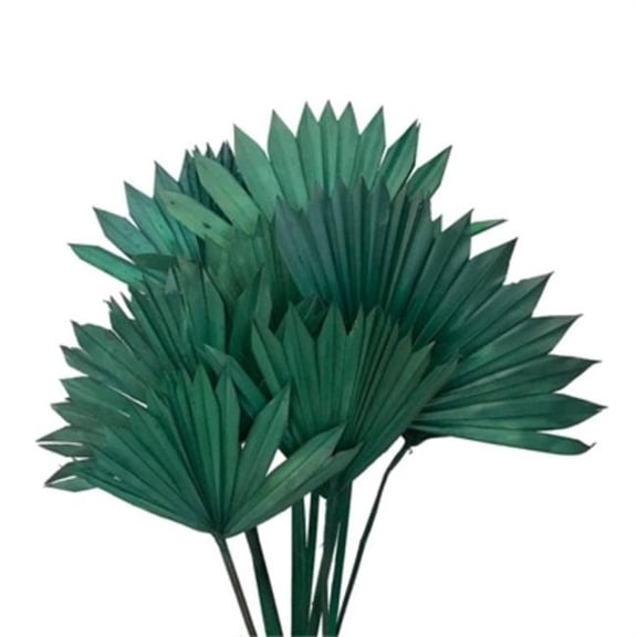 Metrotex Designs 41288 17.5 in. 10 Stems Sun Spear Bunch, Moss Green