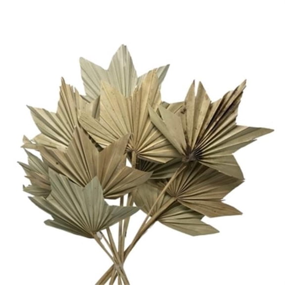 Metrotex Designs 41312 24 in. Maple Palm Stems, Natural - 10 Piece