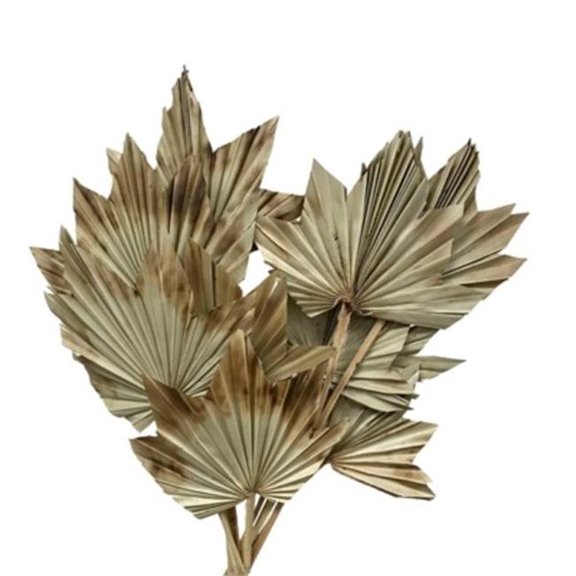 Metrotex Designs 41315 24 in. Maple Palm Stems, Burnt Edges - 10 Piece
