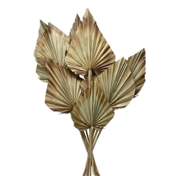 Metrotex Designs 41316 20 in. Palm Spear Leaves, Burnt Tips - 10 Piece