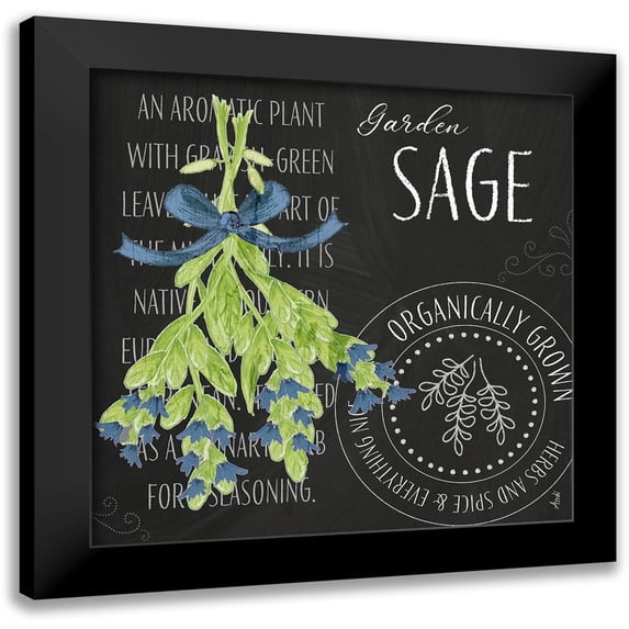 Metz, Andi 15x15 Black Modern Framed Museum Art Print Titled - Garden Grown Herbs II