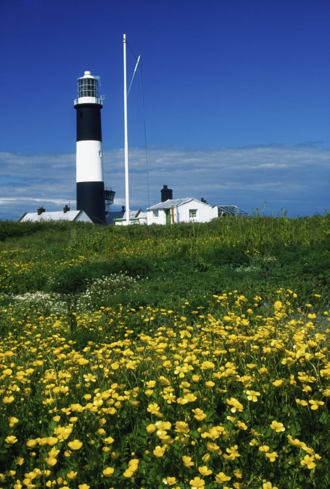 Mew Island County Down Ireland Lighthouse Canvas Art - Richard Cummins Design Pics (12 x 18)