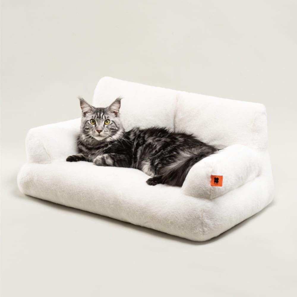Shredded Latex Foam Fill Refill for Pillow, Bean Bag, Dog Pet Bed Cushion  20lbs