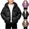 thumbnail image 1 of MexChoioe Kids Quilted Puffer Hooded Winter Jacket Full Zip Long Sleeve Outerwear with Side Pockets Fall Winter Warm Casual School Daily Coat for Boys, 1 of 7