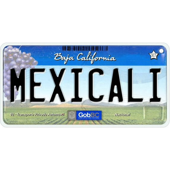 Mexicali Baja California Mexico Novelty Car License Plate