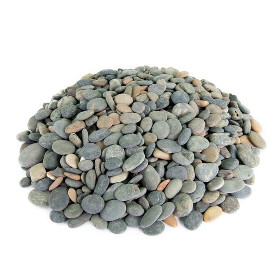 Mexican Beach Pebble Buttons |1/2"-1" | Round River Rock Landscape Garden Stones 40 pounds