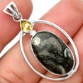 thumbnail image 1 of Mexican Cabbing Fossil & Citrine 925 Sterling Silver Pendant Jewelry P-1005 SDP139232, 1 of 5