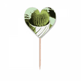 thumbnail image 1 of Mexican Cactus Strong Flower Toothpick Flags Heart Lable Cupcake Picks, 1 of 3