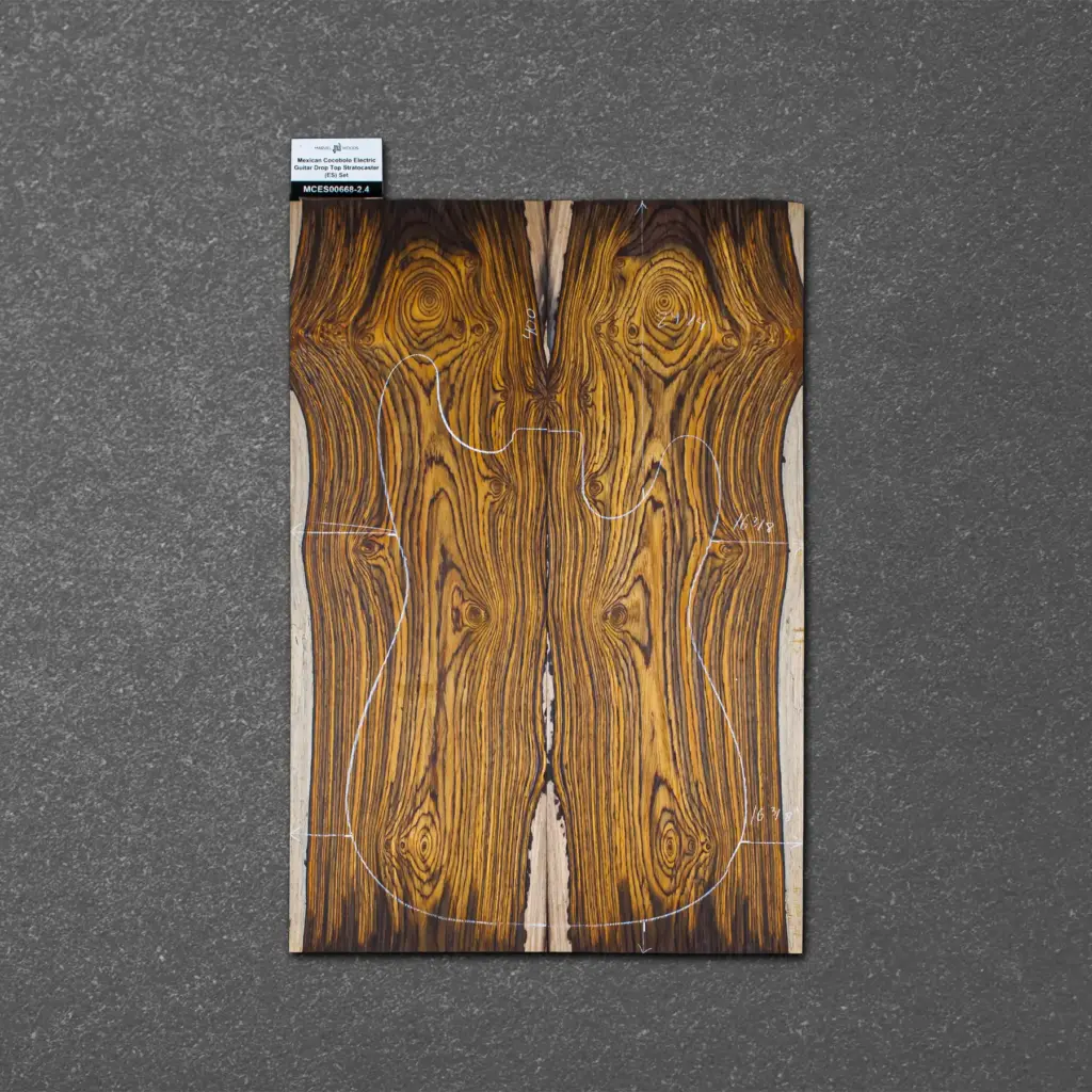 Mexican Cocobolo Electric Guitar Drop Top Stratocaster (ES) Set – MCES000668-2.4