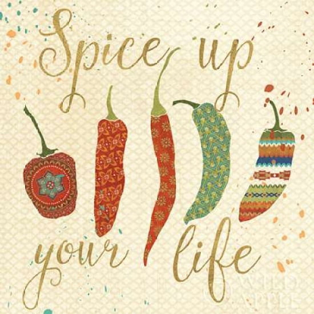 Mexican Fiesta V Canvas Art - Veronique Charron (24 x 24)