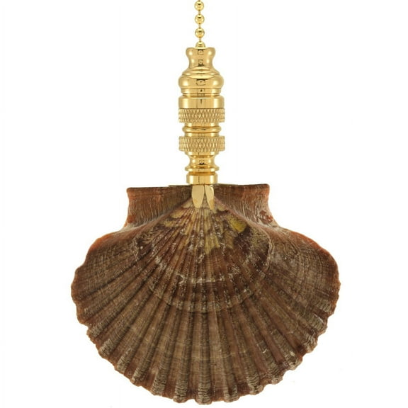 Mexican Flat Sea Shell Fan Pull 3"h