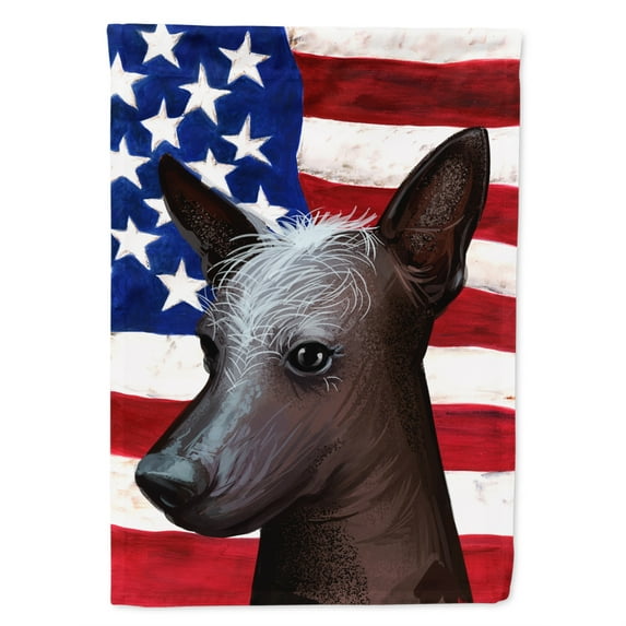 Carolines Treasures CK6614CHF Mexican Hairless Dog American Canvas House Size Outdoor-Flags, Multicolor