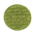 thumbnail image 1 of Mexican Original Shelf Stable Spinach Flavored Tortilla Wrap, 16.5 Pound - 1 each., 1 of 3