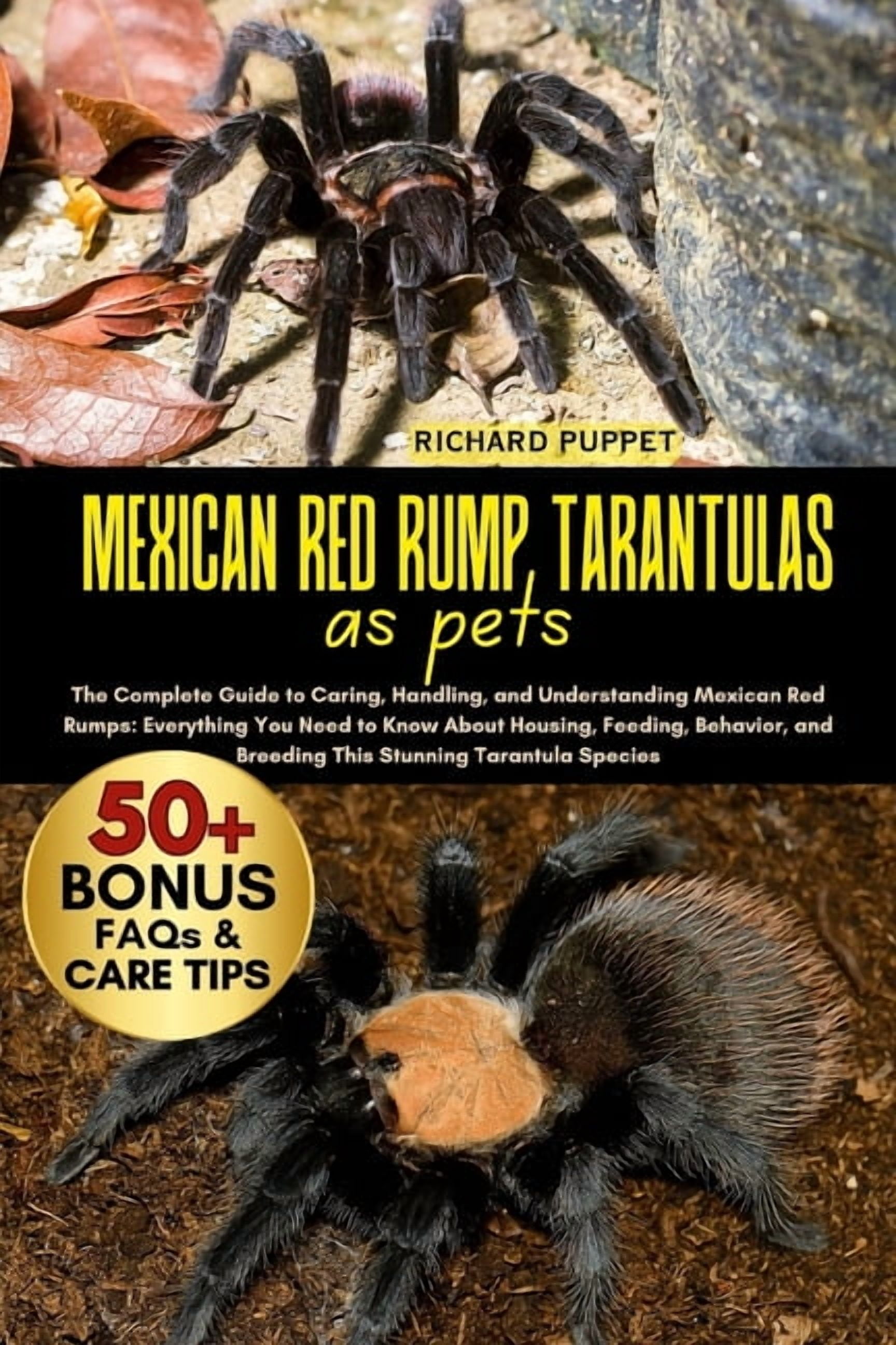 Mexican Red Rump Tarantulas as Pets: The Complete Guide to Caring ...