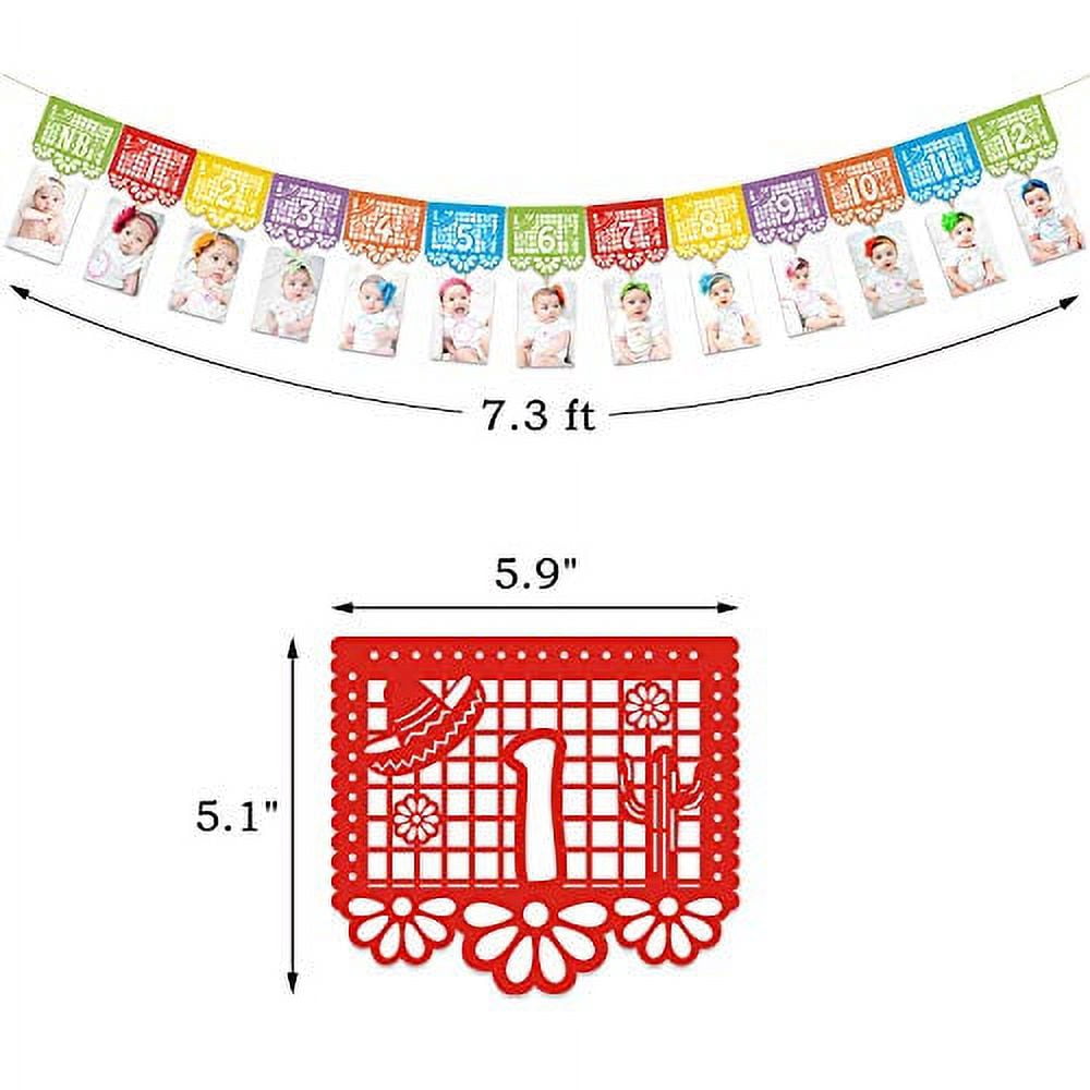 KITTICCINO Mexican fiesta 1st Birthday Photo Banner Papel Picado UNO Garland Milestone Photo Bunting Baby Newborn to 12 Month Cino de Mayo Party Decorations
