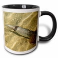 thumbnail image 1 of 3drose, Mexico Bahia De Los Animas Humboldt Squid Marine Life - Sa13 Tdr0098 - Trish Drury, 15oz Two-tone Black Mug, 1 of 6