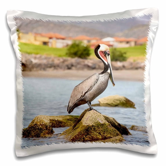 3dRose, Mexico, Baja California, Loreto Bay. Brown Pelican breeding plumage., 16x16 inch Pillow Case