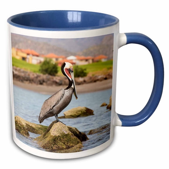 3drose, Mexico, Baja California Sur, Sea of Cortez, Loreto Bay. Brown Pelican., 15oz Two-tone Blue Mug