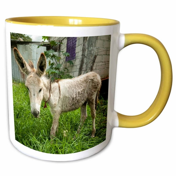 3drose, Mexico, Chiapas, Tuxtla Gutierrez. a Little Donkey Tied Up in the Yard, 11oz Two-tone Yellow Mug