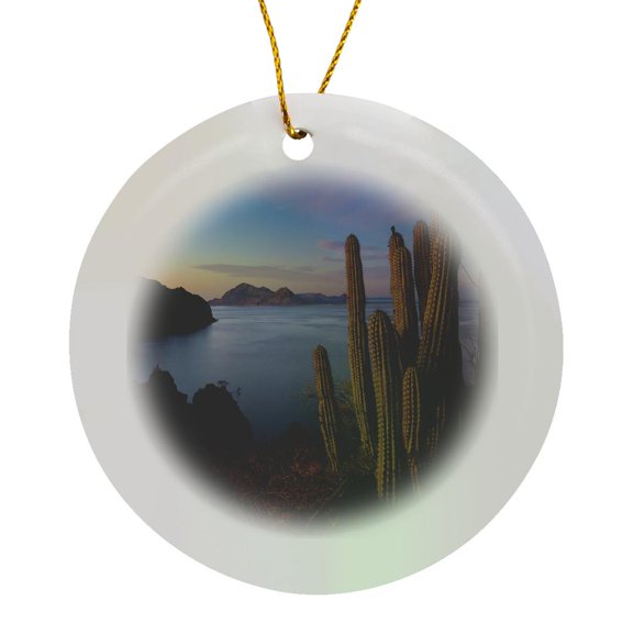 3drose, Mexico, Cortez Sea, Organ Pipe Cactus, Isla Danzante - Sa13 Glu0065 - Gary Luhm, Circle Porcelain Ornament