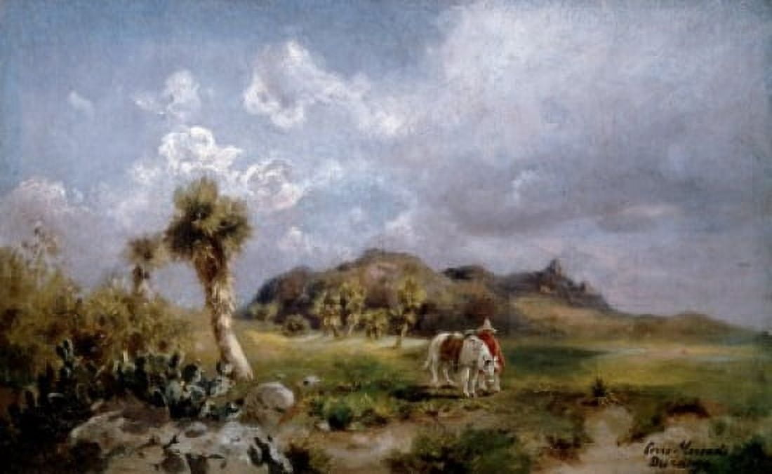 Mexico Durango Cerro Mercado by P Fischer 19th Century Canvas Art - P Fischer (18 x 24)