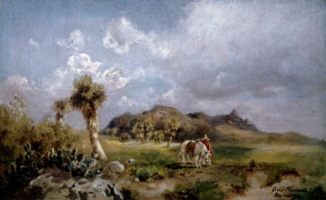 Mexico Durango Cerro Mercado by P Fischer 19th Century Canvas Art - P Fischer (24 x 36)
