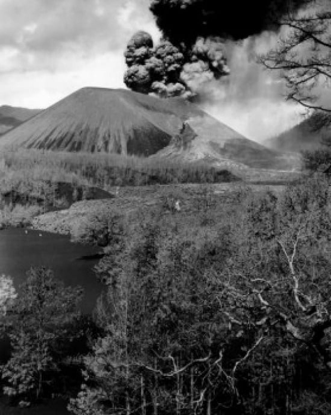Mexico Michoacan Paricutin Smoke erupting from a volcano Canvas Art - (18 x 24)