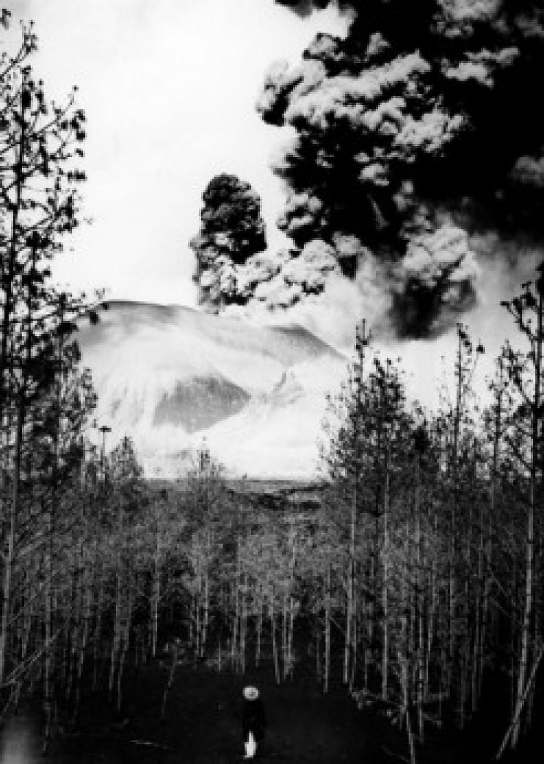 Mexico Michoacan Paricutin Smoke erupting from a volcano Canvas Art -  (18 x 24)