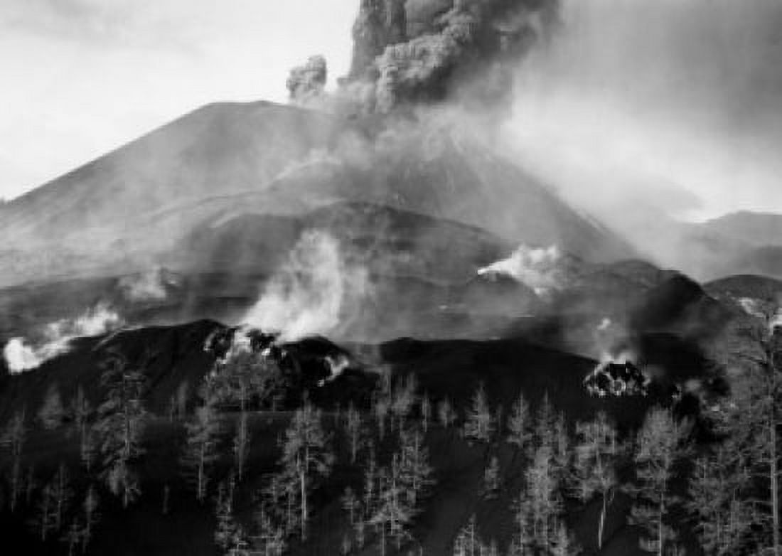 Mexico Michoacan Paricutin Smoke erupting from a volcano Canvas Art - (24 x 36)