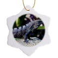 thumbnail image 1 of 3drose, Mexico, Quintana Roo, Tulum, Black Iguana Lizard - Sa13 Jeg0742 - Julie Eggers, 3 inch Snowflake Porcelain Ornament, 1 of 7
