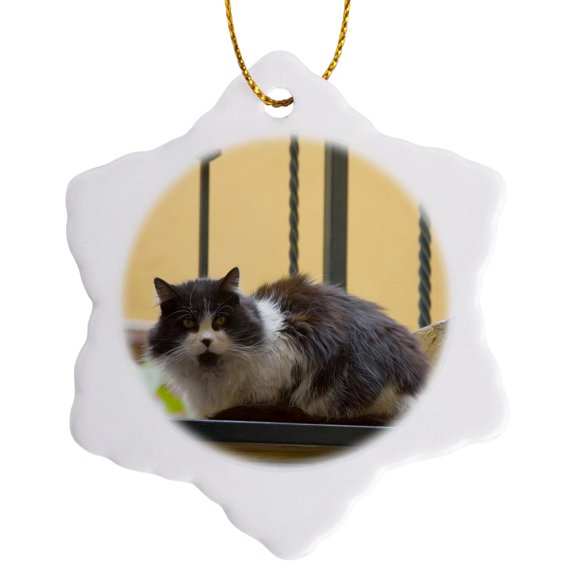 3drose, Mexico, San Miguel De Allende. Cat on Steps - Sa13 Jeg0464 - Julie Eggers, 3 inch Snowflake Porcelain Ornament