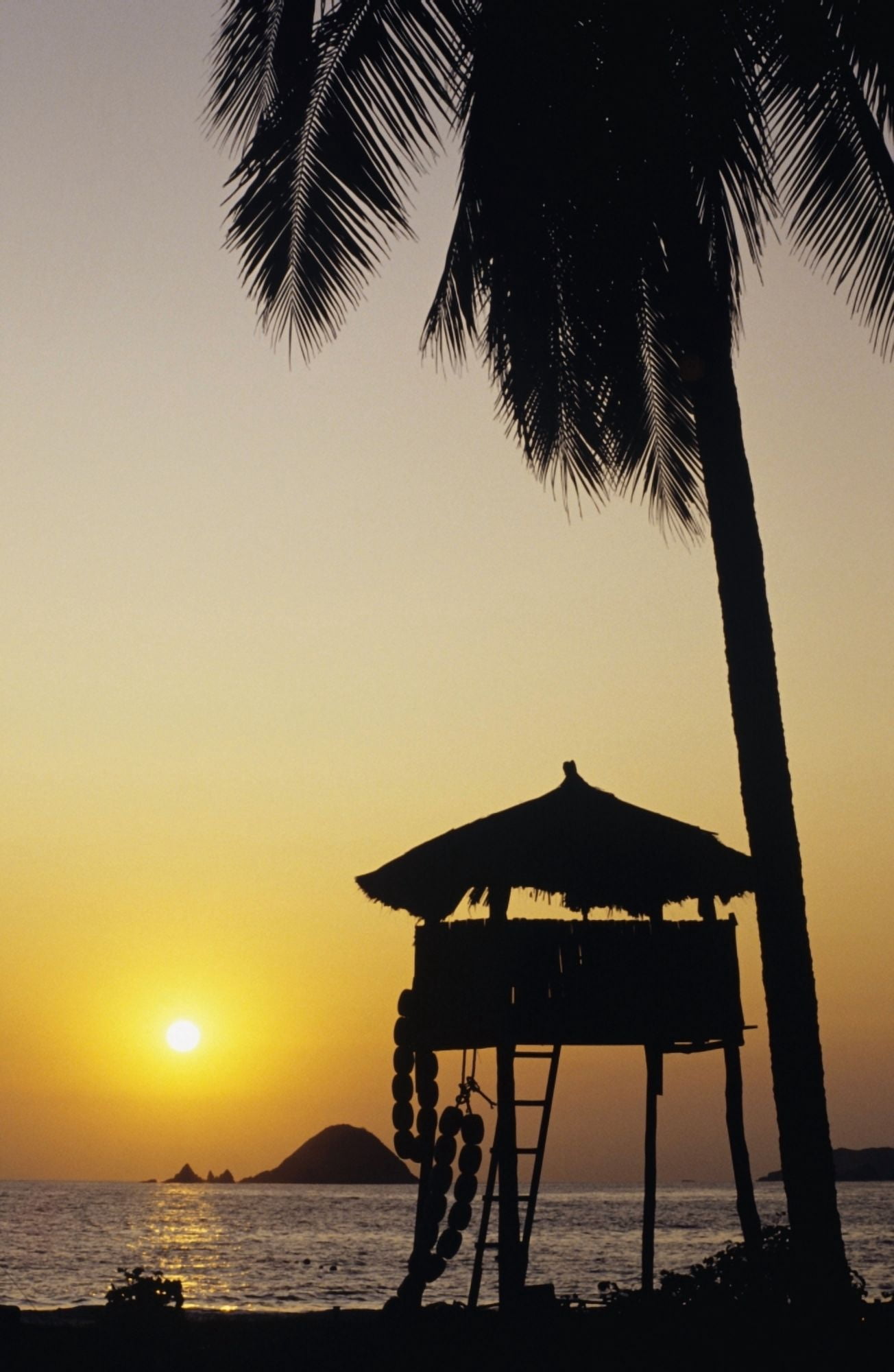Mexico Silhouette of beach bungalow and palm tree at sunset Ixtapa Coast Canvas Art - Bill Schildge Design Pics (22 x 36)