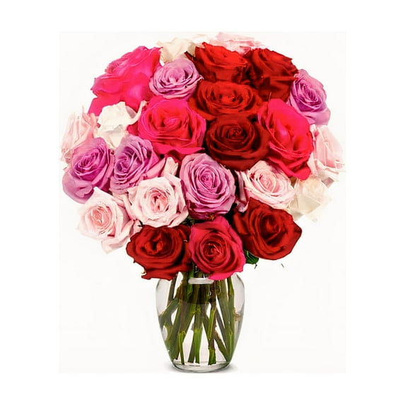 Mexiflower 24 Assorted Sweethearts, Multicolor Roses, Cut and Fresh Flowers Bouquet