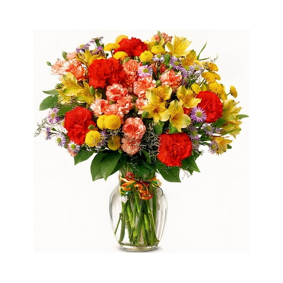 Mexiflower Celebrate Today, Cut and Fresh Flowers Bouquet