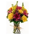 thumbnail image 1 of Mexiflower Simple Elegance, Cut and Fresh Flowers Bouquet, 1 of 5
